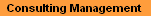 Management Consulting
